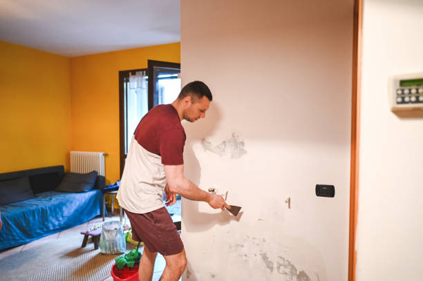 Best Mold Removal Near Me  in Edgewood, MD